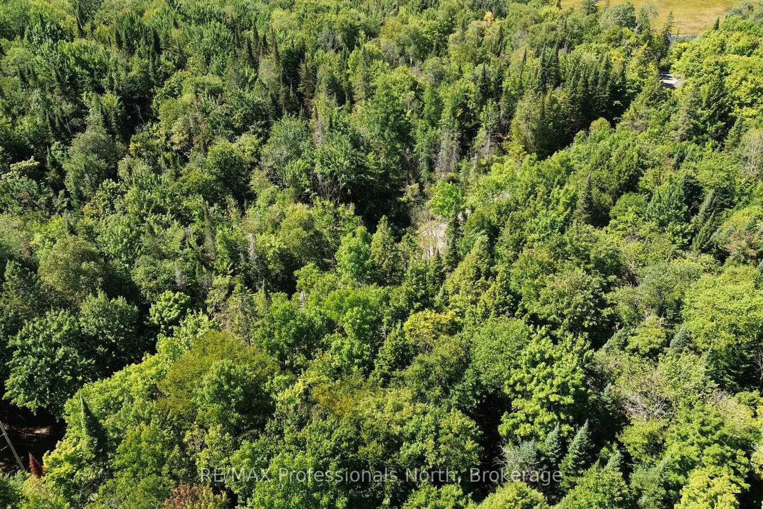 Additional image 15 of 00 Whitney Road