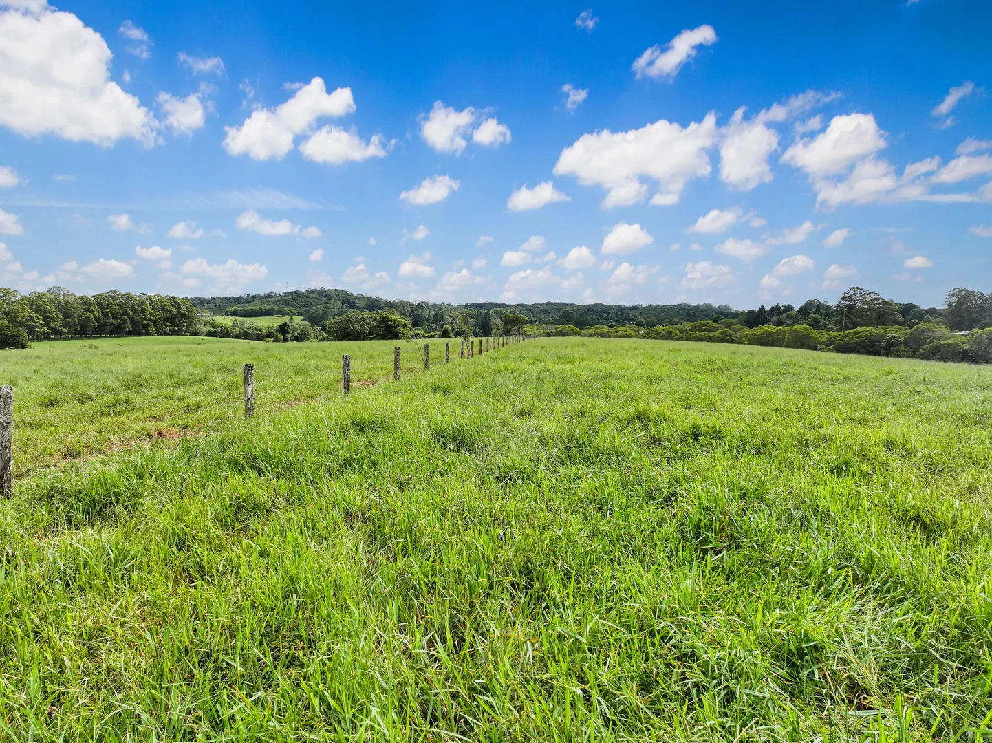 Additional image 6 of Lot 2 Lake Barrine Road, Lake Eacham QLD 4884