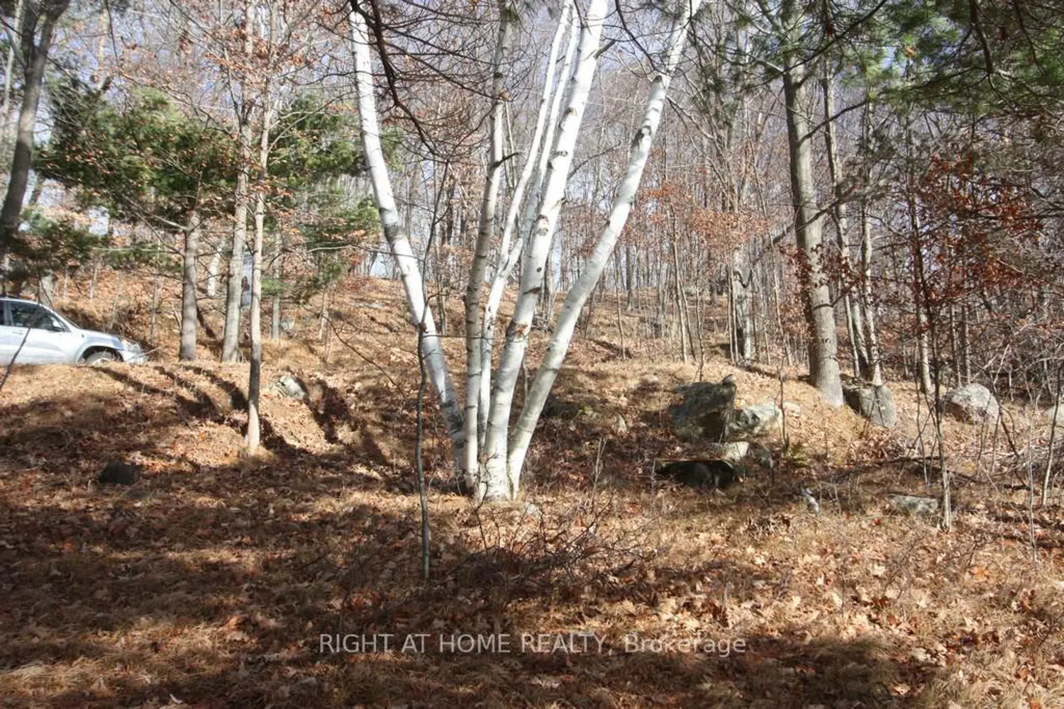 Additional image 6 of 00 Hopper Lane