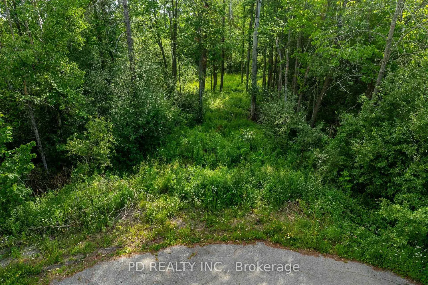 Additional image 17 of N/A Alma Street