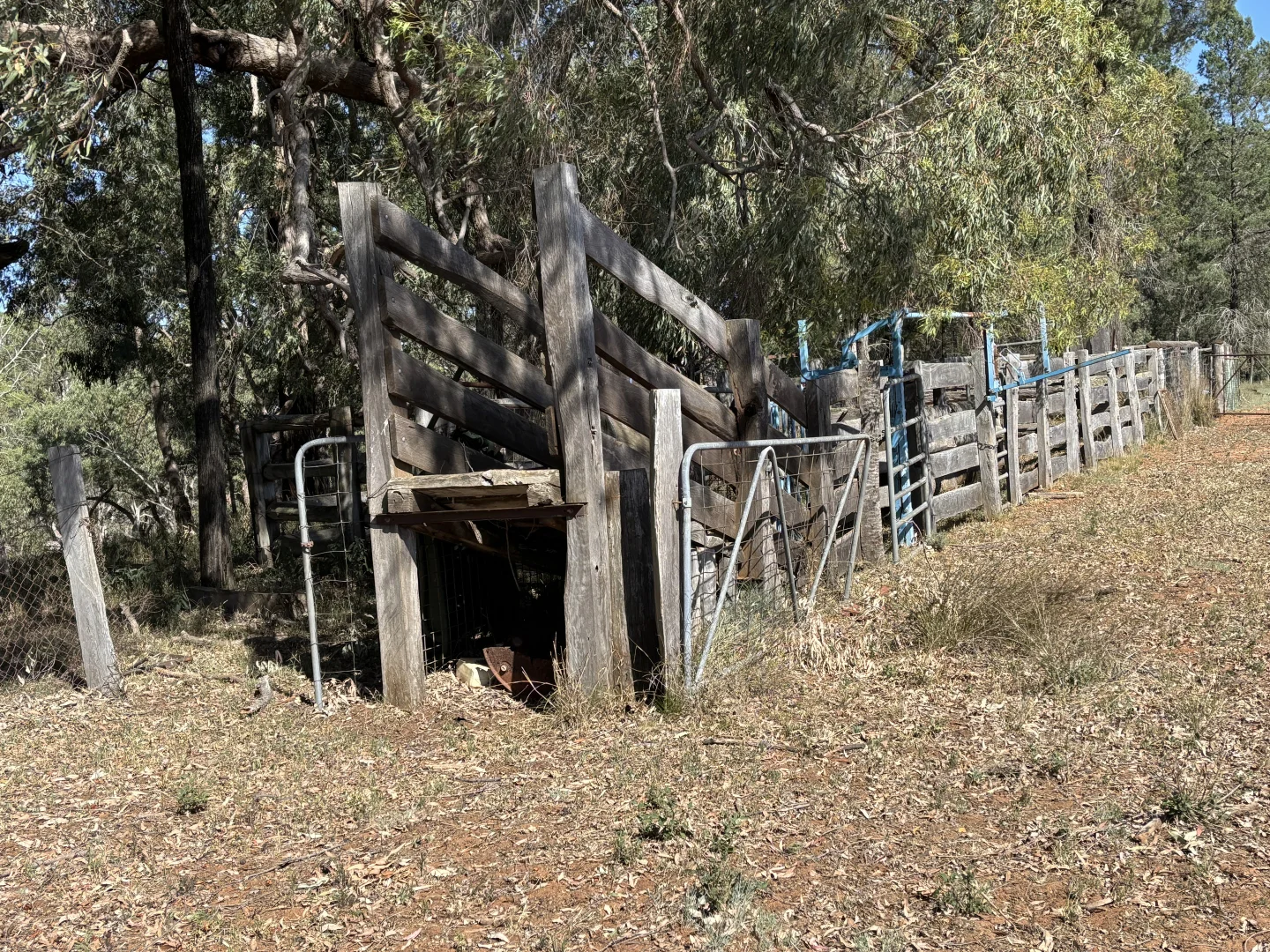 Additional image 31 of 2875 Newell Highway, Rocky Glen NSW 2357