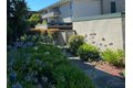 Additional image 8 of 1110 Polynesia Dr Apt 112, Foster City, CA, 94404