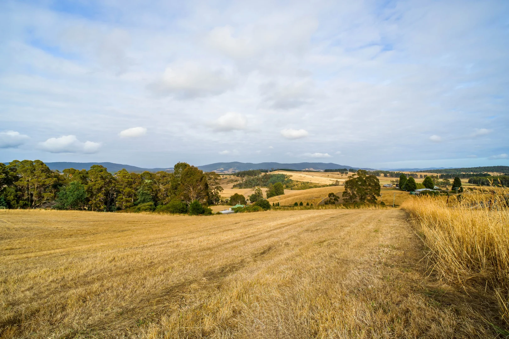 Additional image 5 of 364 Golconda Road, Lilydale TAS 7268