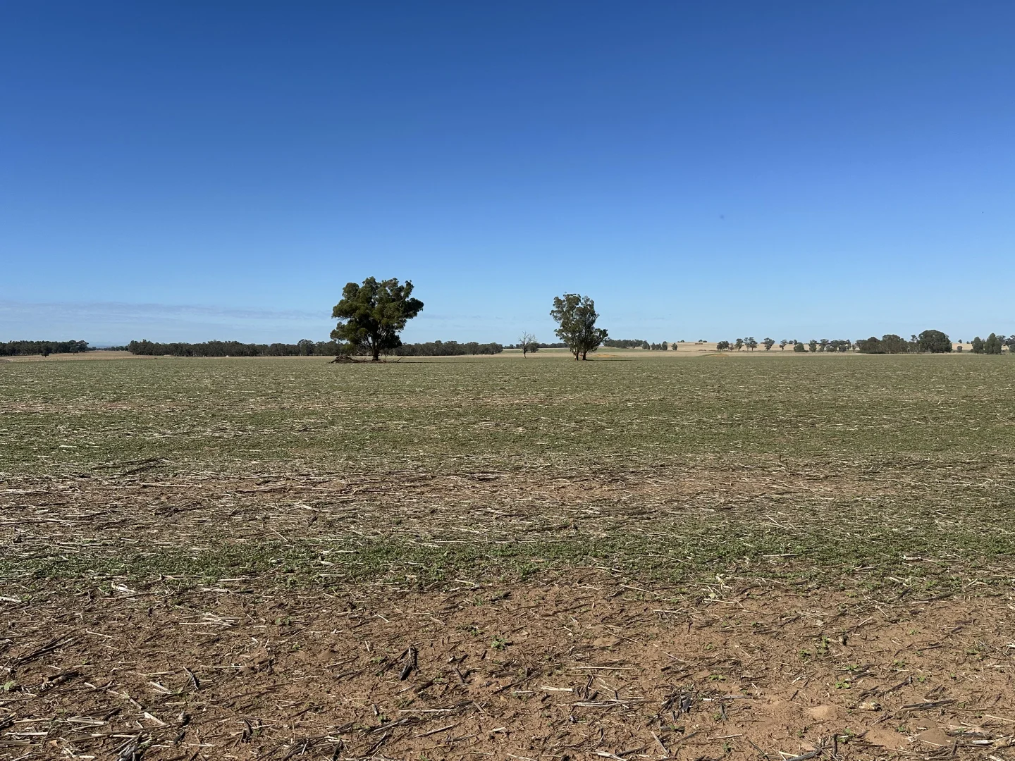 Additional image 9 of . Lilydale Road, Balldale NSW 2646