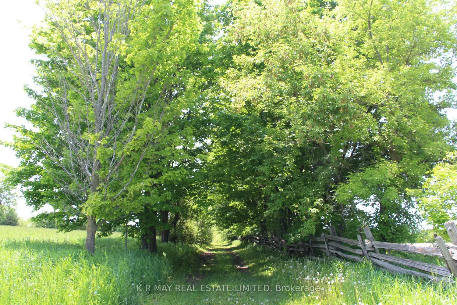 9680 Concession 4 photo 5