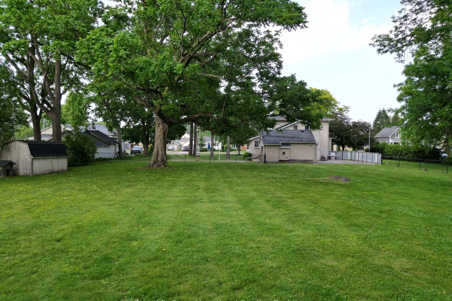 231 William Street photo 4