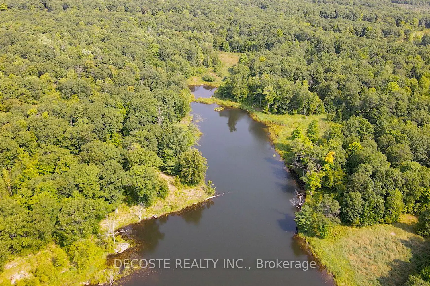 Additional image 10 of 3691 Bolingbrooke Road