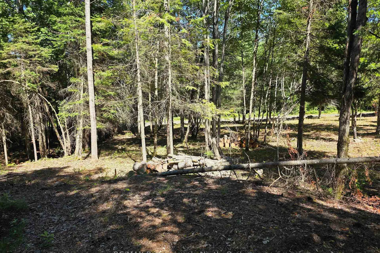 Additional image 9 of 00 Whitney Road