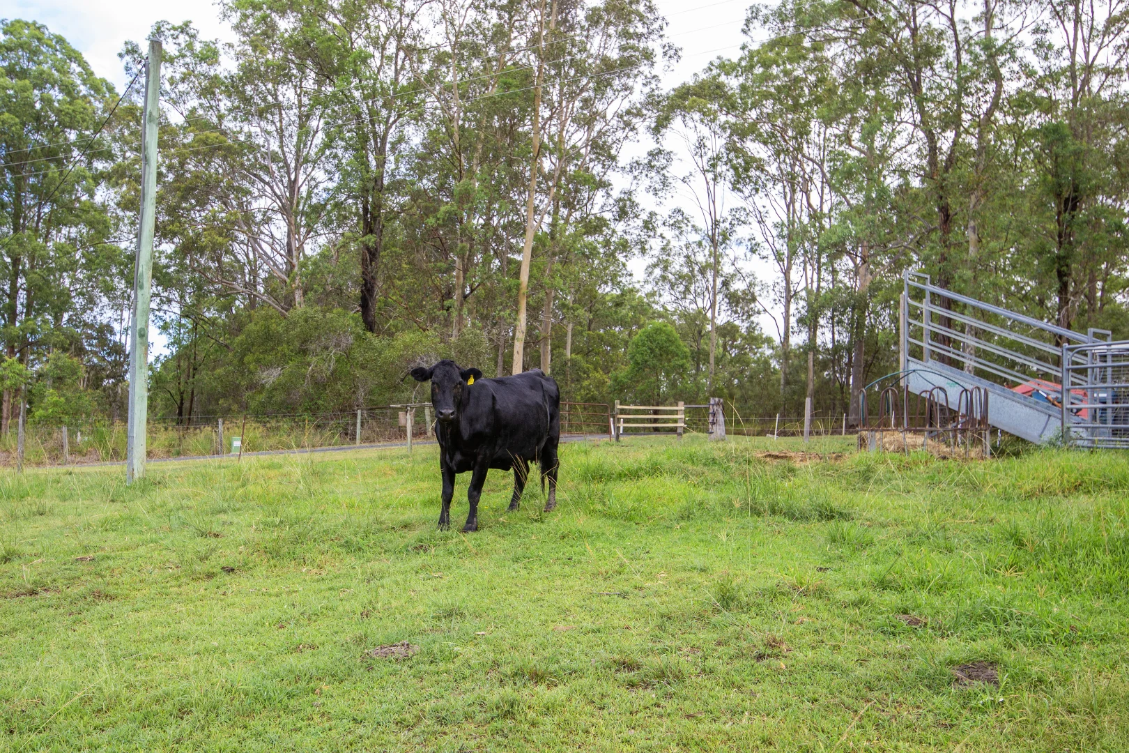 Additional image 27 of 178 Cedar Party Road, Taree NSW 2430
