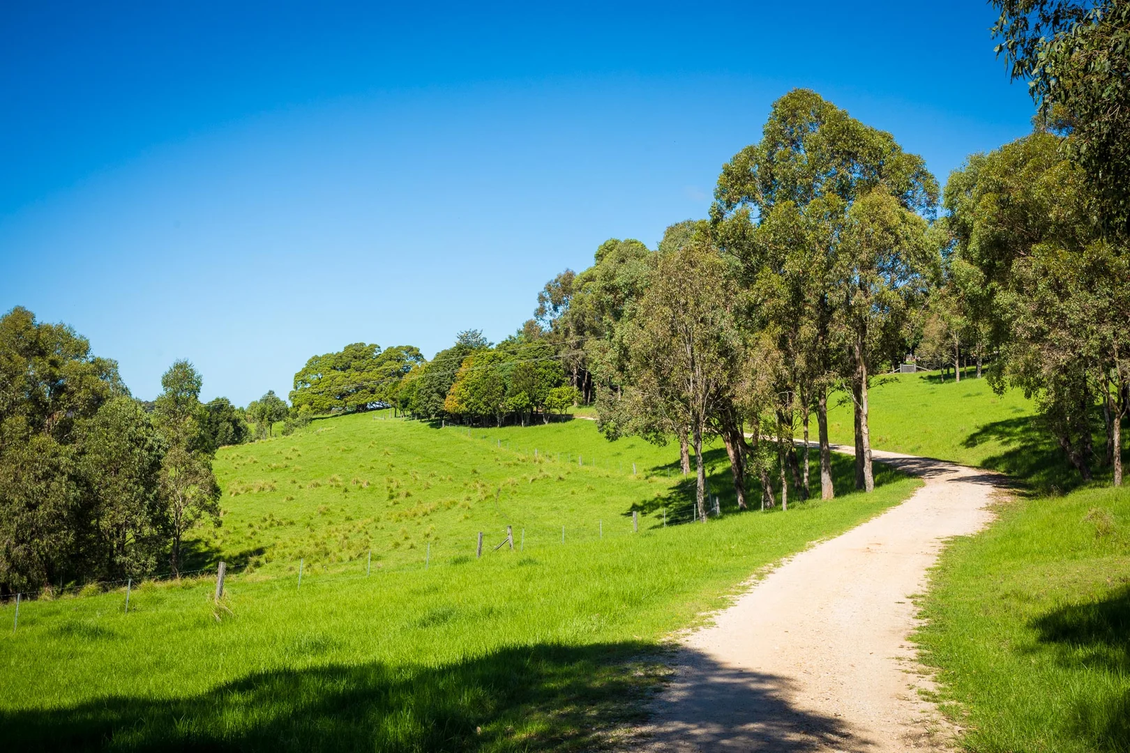 Additional image 46 of 259 Barrabooka Road, Tanja NSW 2550