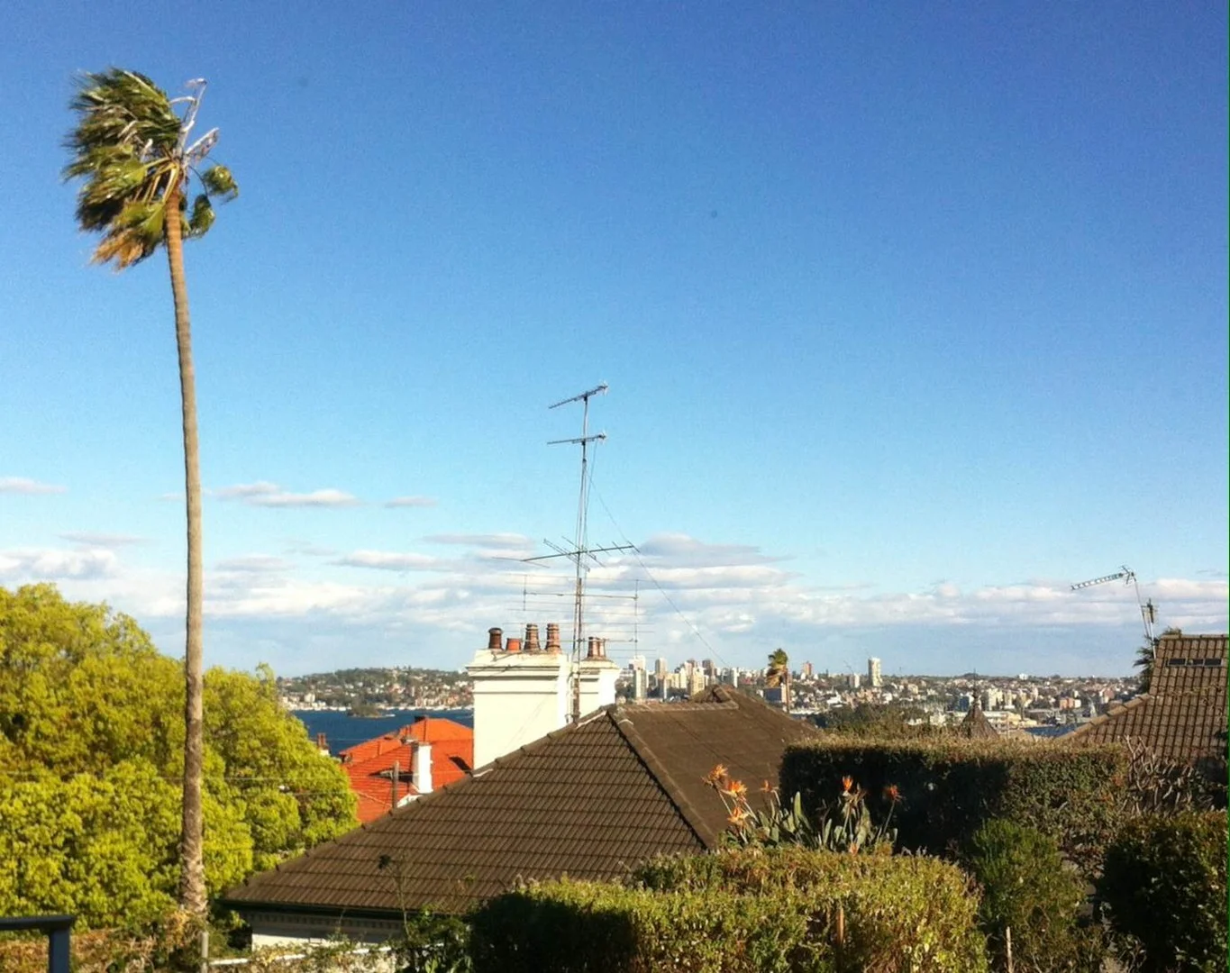 Additional image 2 of 4 Raymond Road, Neutral Bay NSW 2089