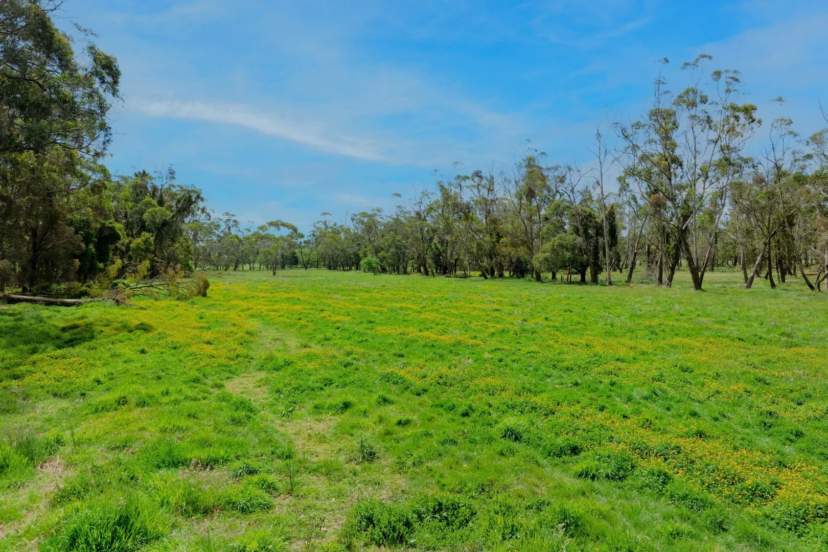Additional image 8 of 1180 Sheepwash Road, Fitzroy Falls NSW 2577