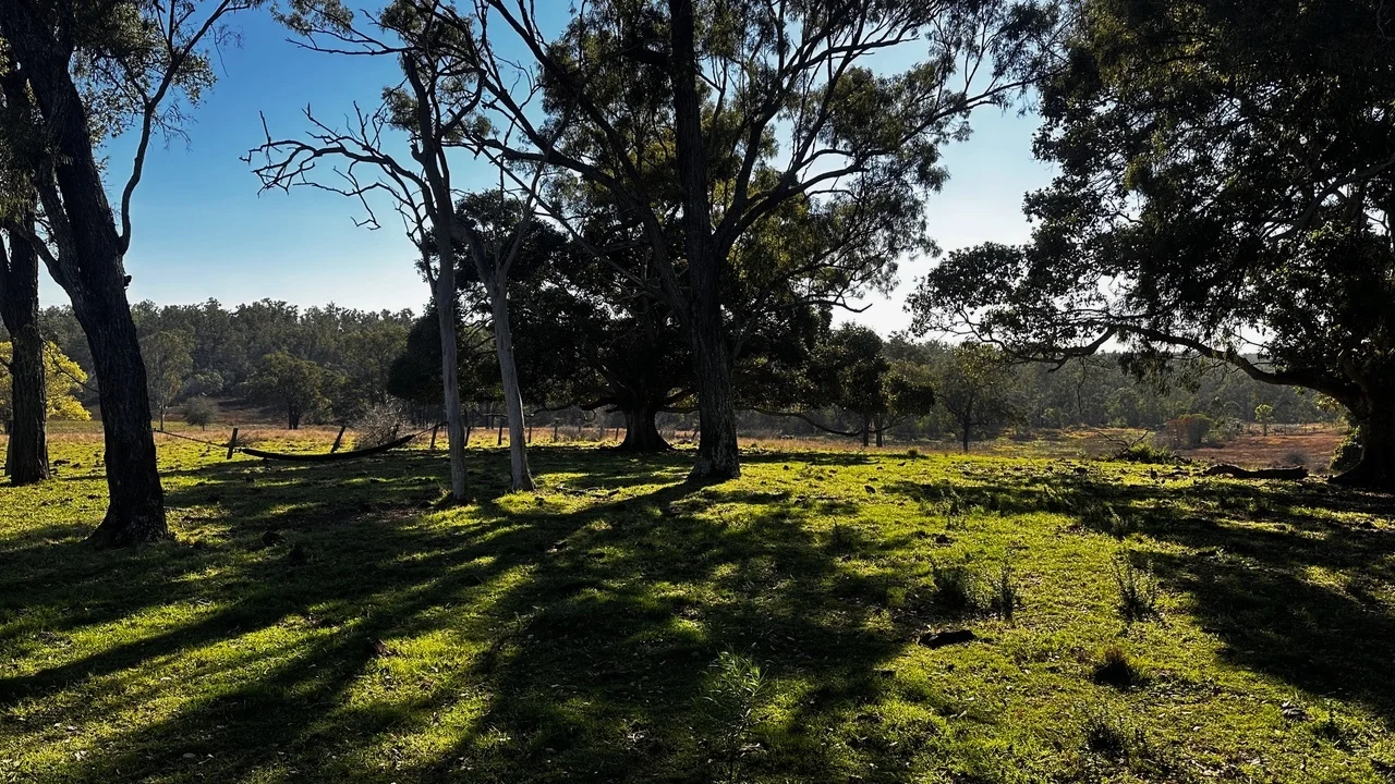 Additional image 4 of 26 Brown N Rd, Teebar QLD 4620