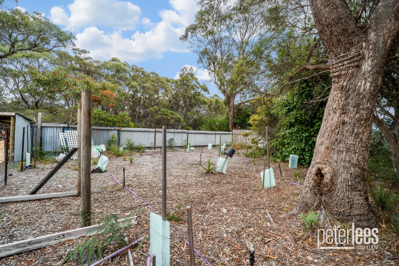 Additional image 12 of 1694 Greens Beach Road, Greens Beach TAS 7270