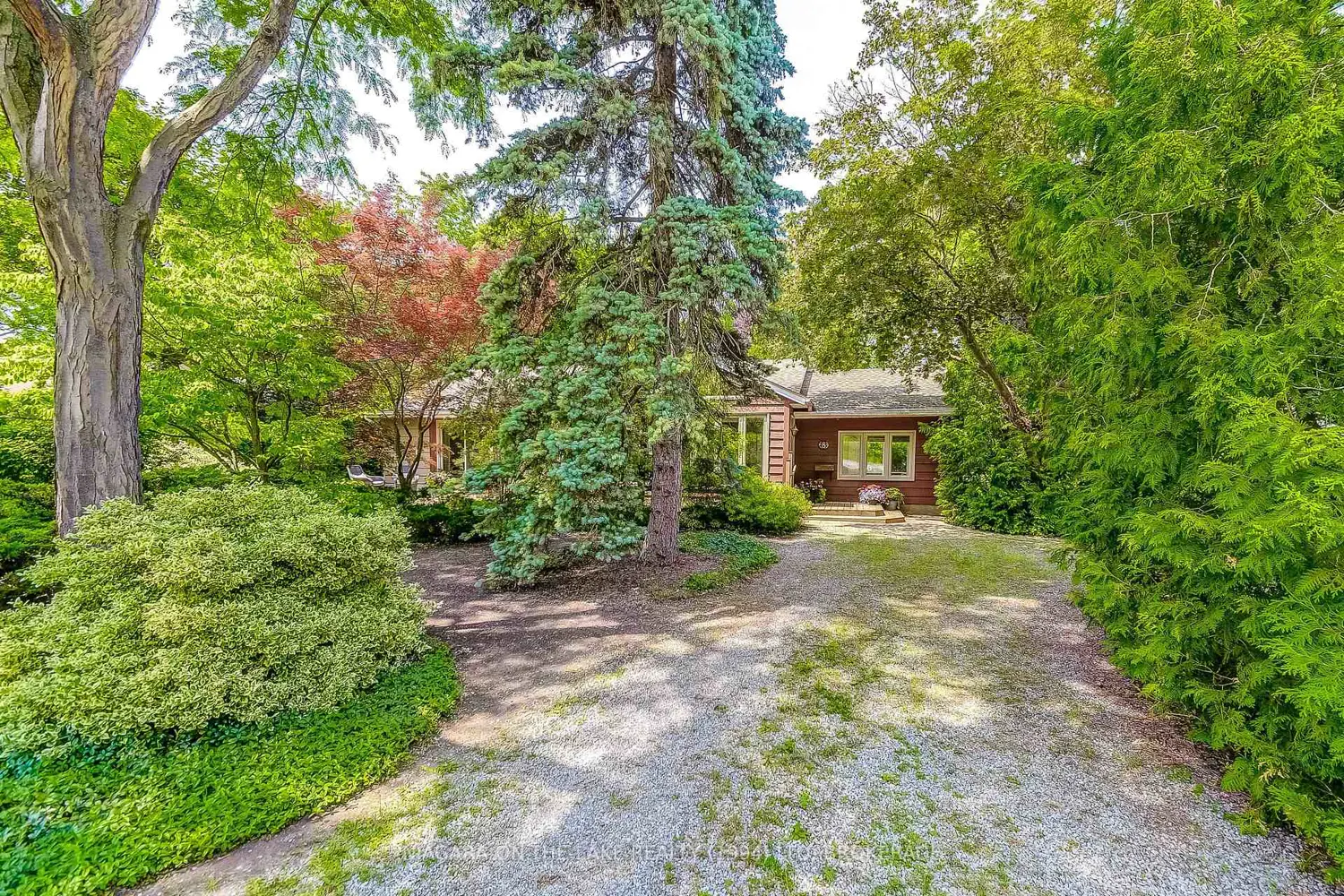 8 Clarence Street photo 3