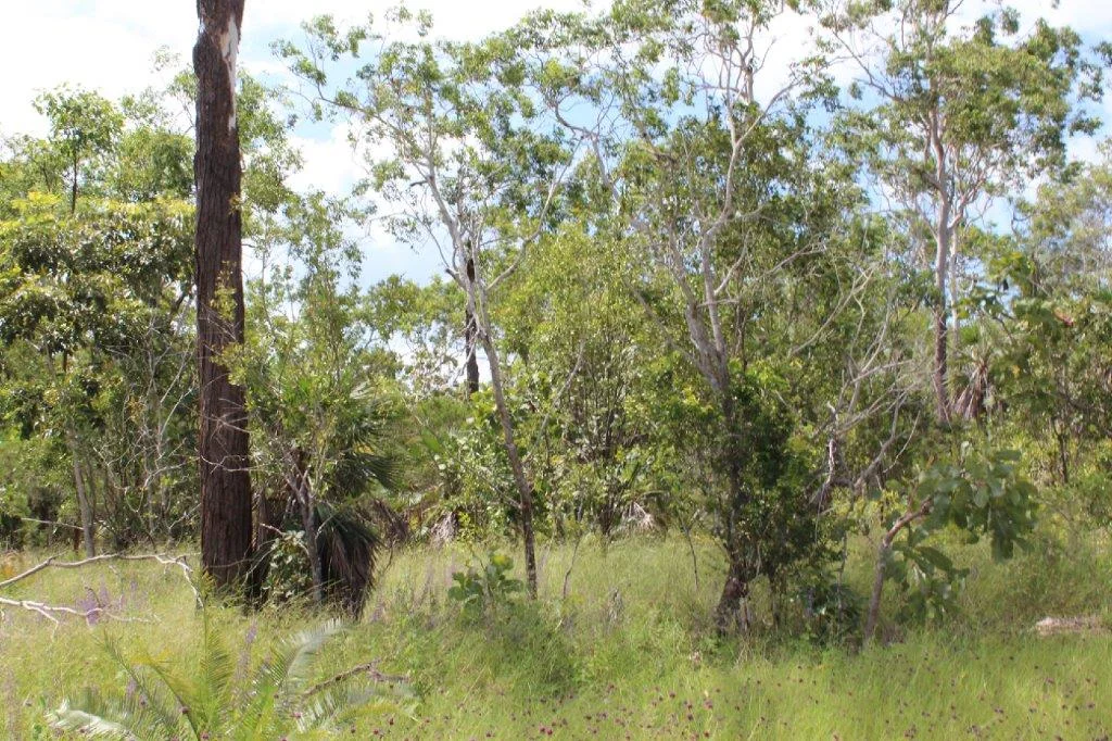 Additional image 4 of 155 Serrata Road, Dundee Downs NT 0840