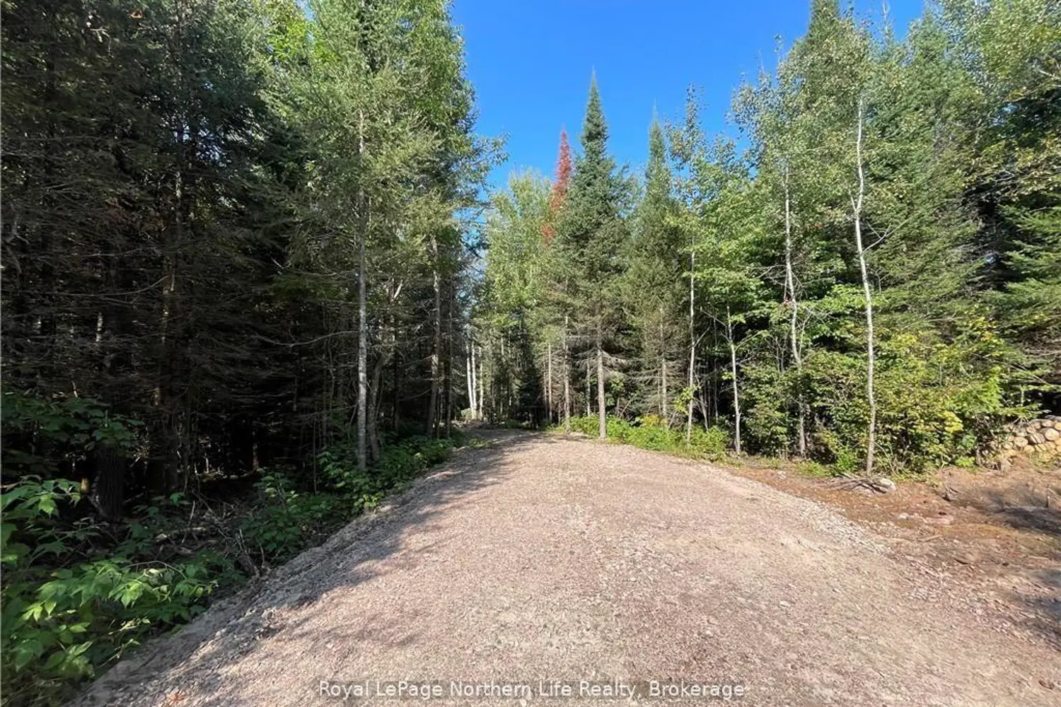 Additional image 17 of 1945 Alsace Road