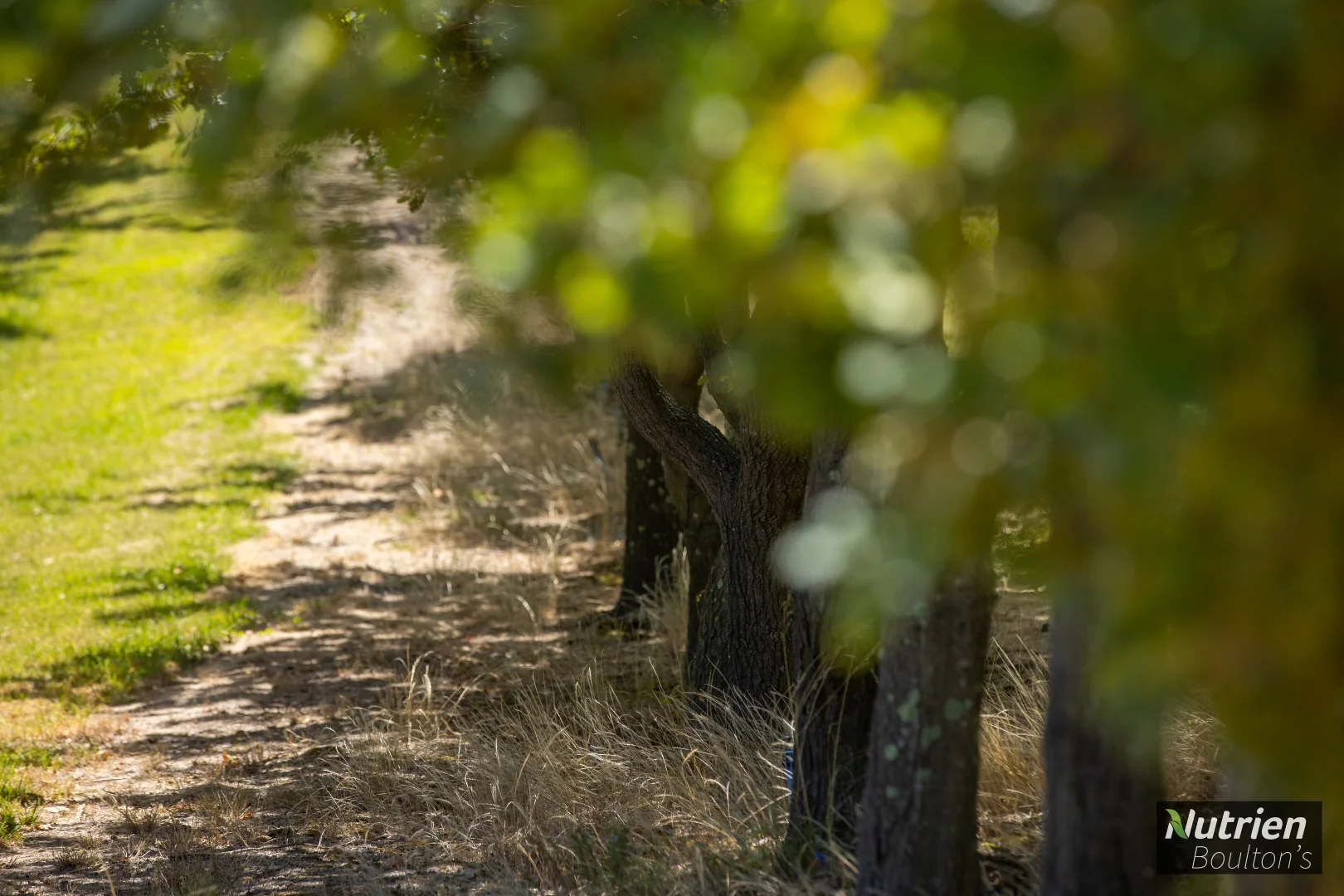 Additional image 46 of 224 Niangala-Walcha Road, Niangala NSW 2354