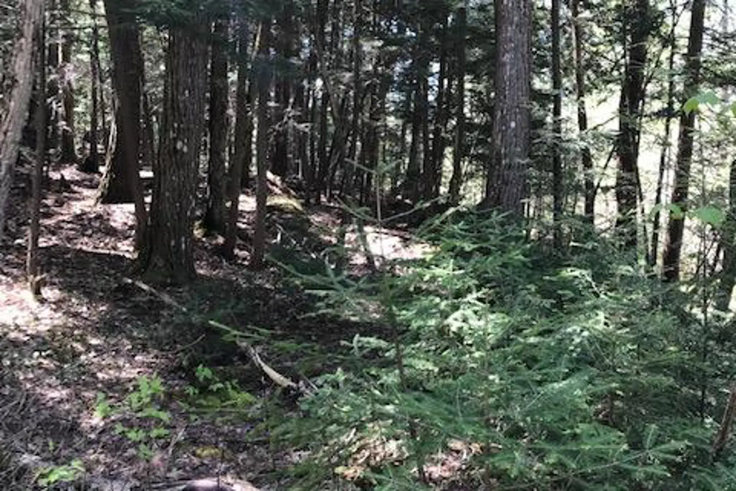 Additional image 2 of 10 Parker Bay Road
