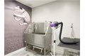 Additional image 4 of 99 Needham St # 2334, Newton, MA, 02461