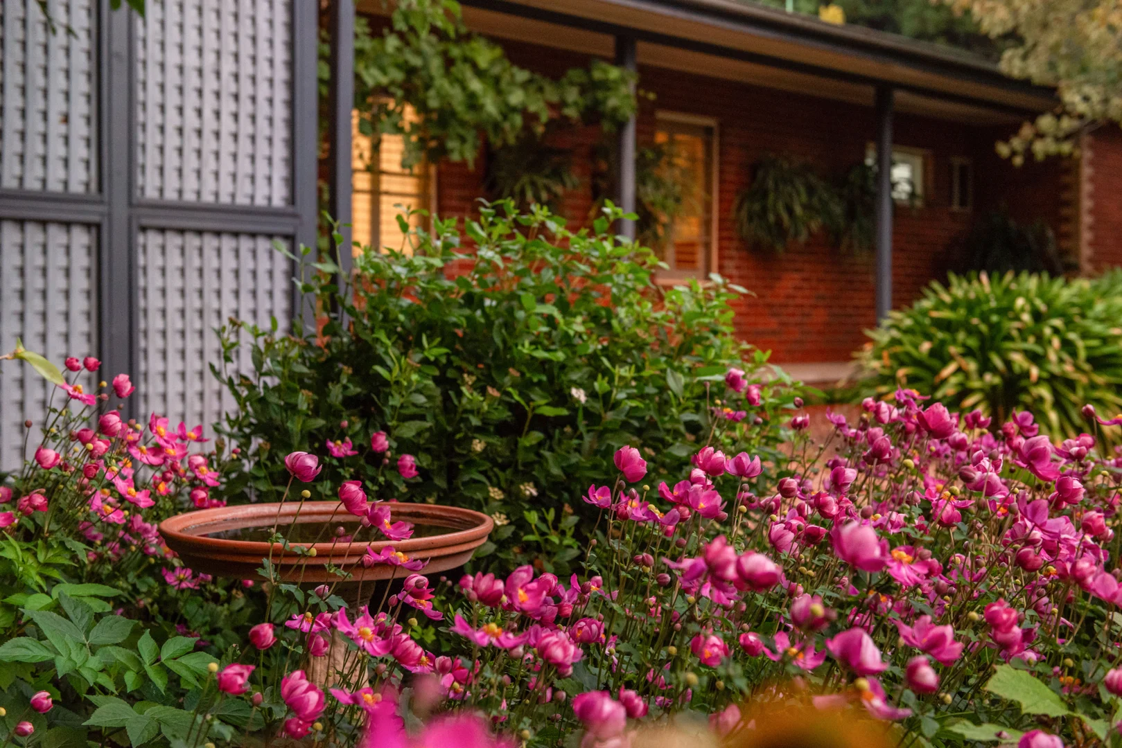 Additional image 13 of 1 Tucker Street, Malmsbury VIC 3446