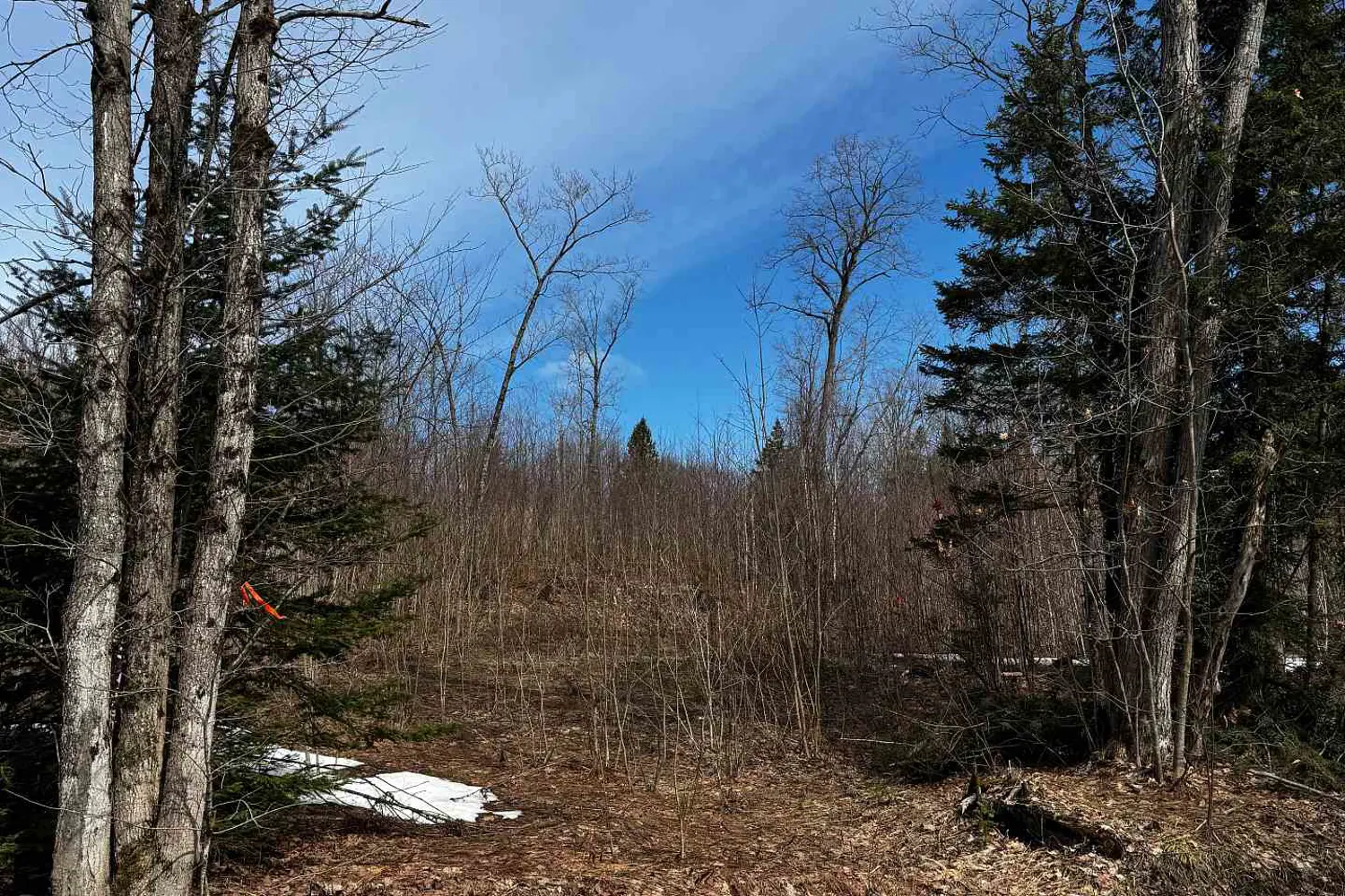 Additional image 13 of Lot 2 Lorimer Lake Road