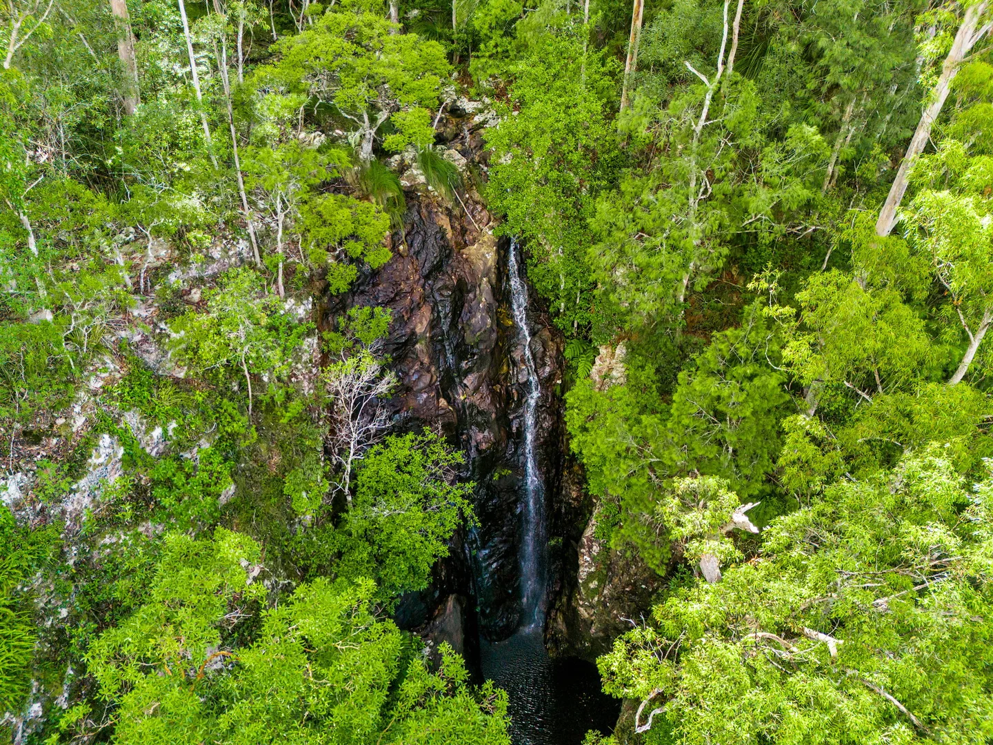 Additional image 3 of 1028 Wilsons Creek Road, Wilsons Creek NSW 2482