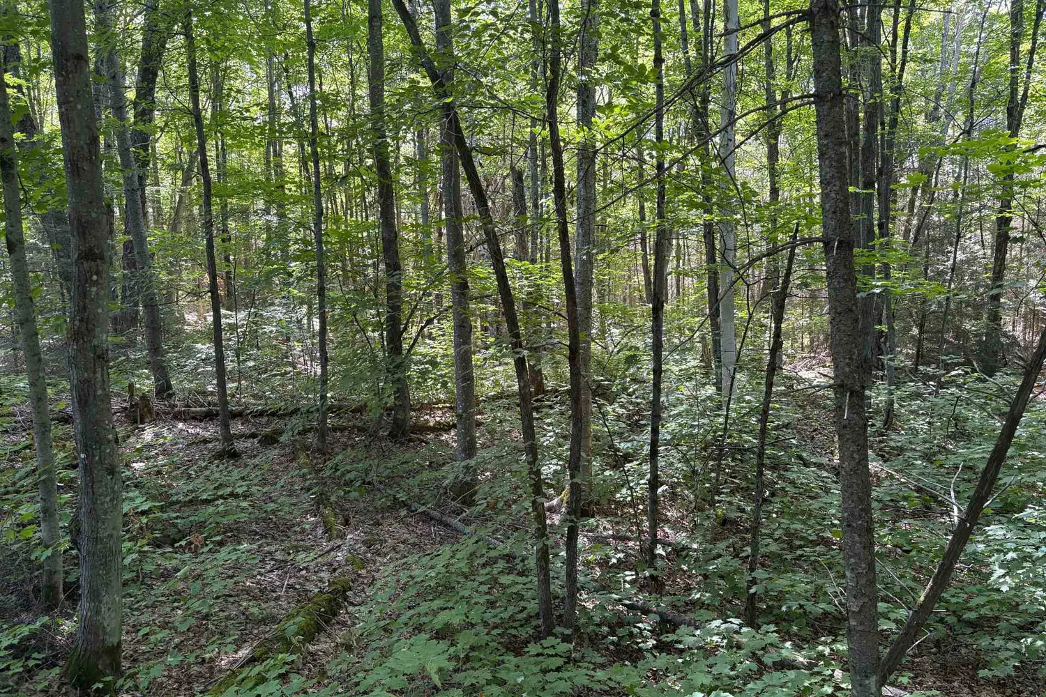 Additional image 7 of 0 Hemlock Road