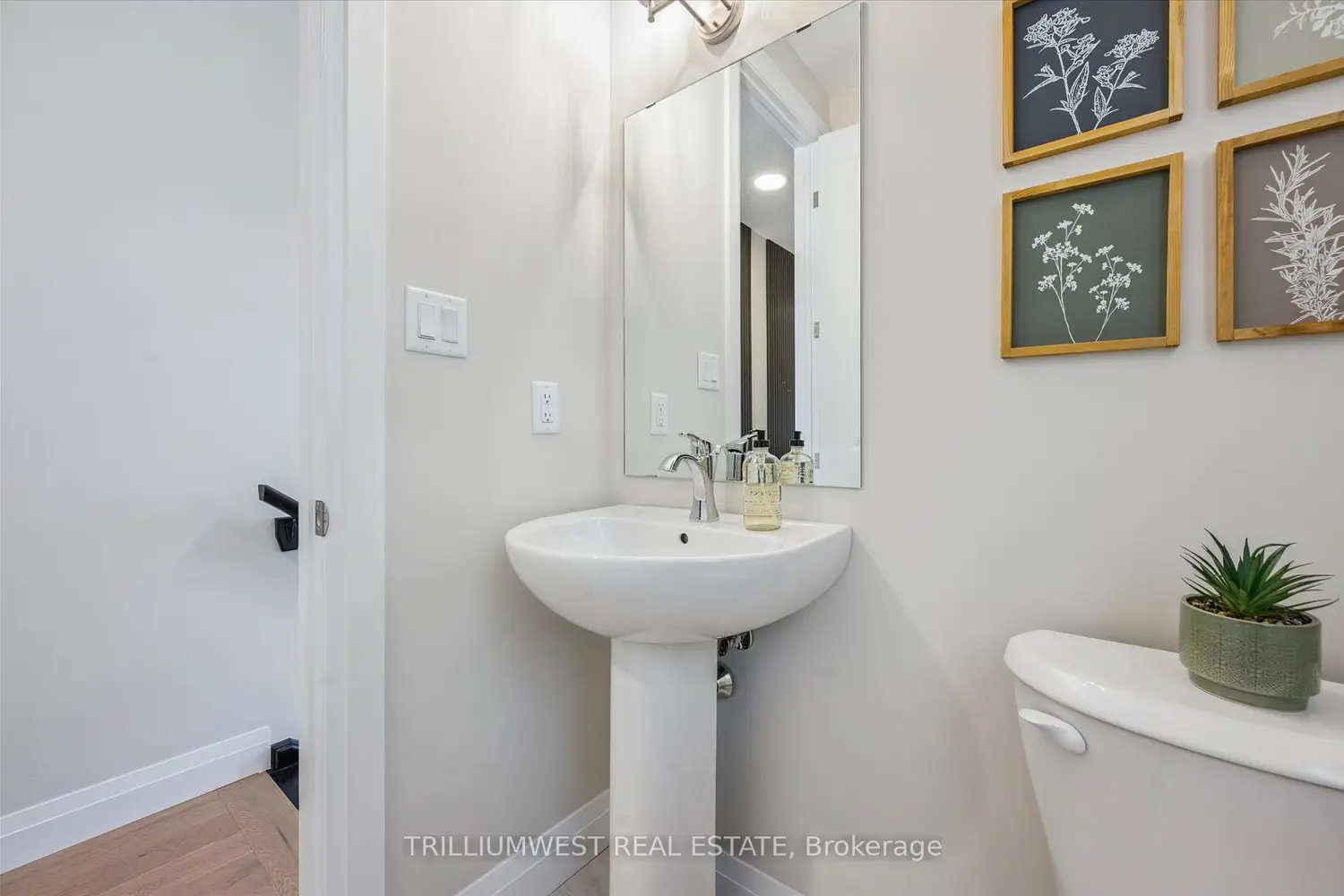 Additional image 6 of 113 Catherine Street