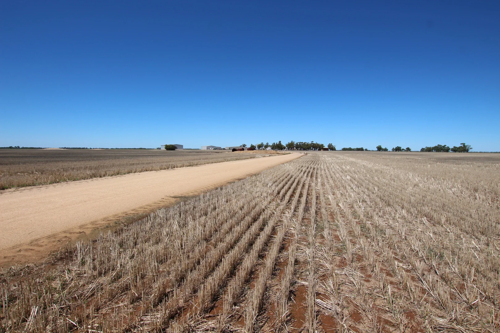 _ Millar Road, Mitiamo VIC 3573 photo 2
