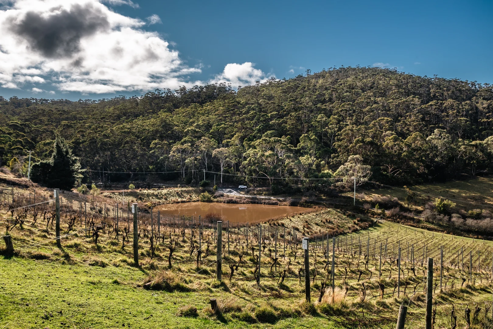 441 Tinderbox Road, Tinderbox TAS 7054 photo 3