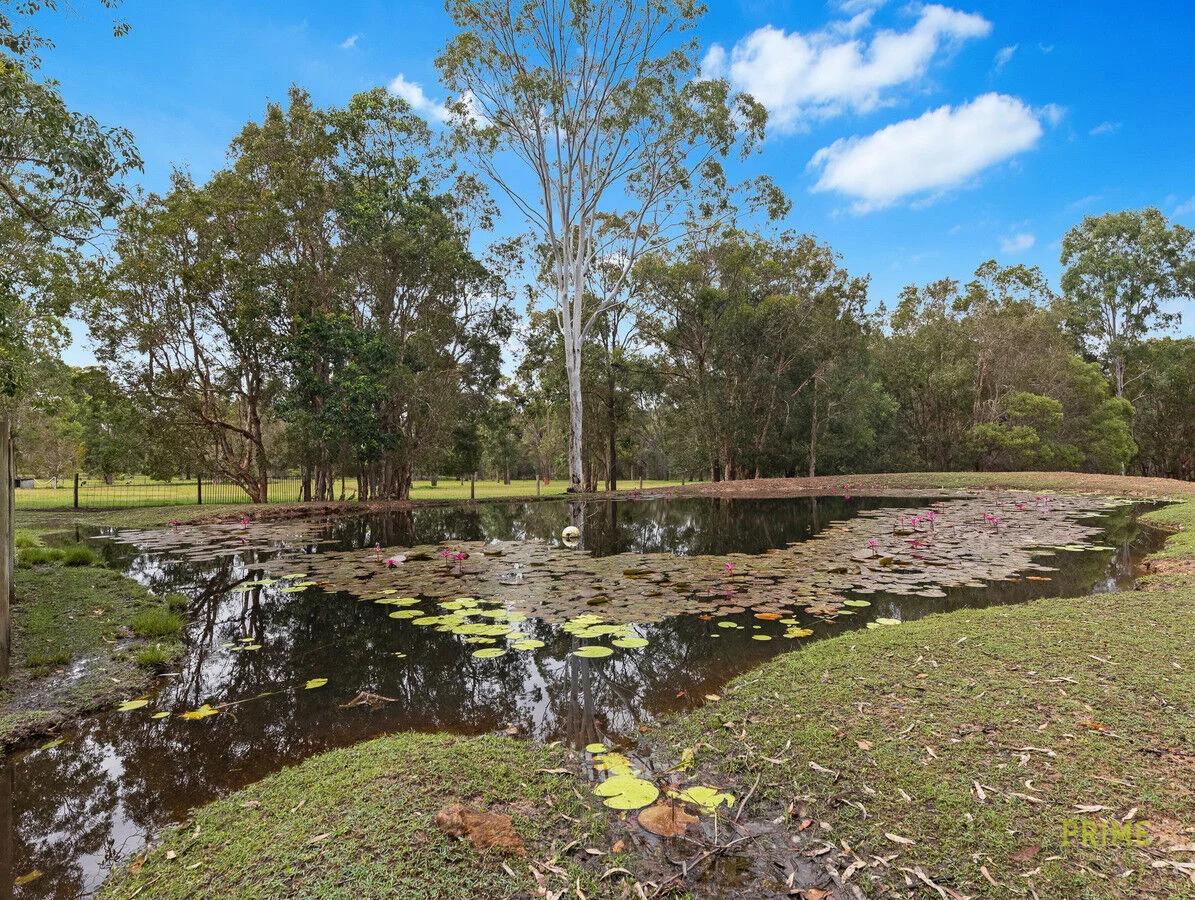 Additional image 3 of 372 Honeyeater Drive, Walligan QLD 4655