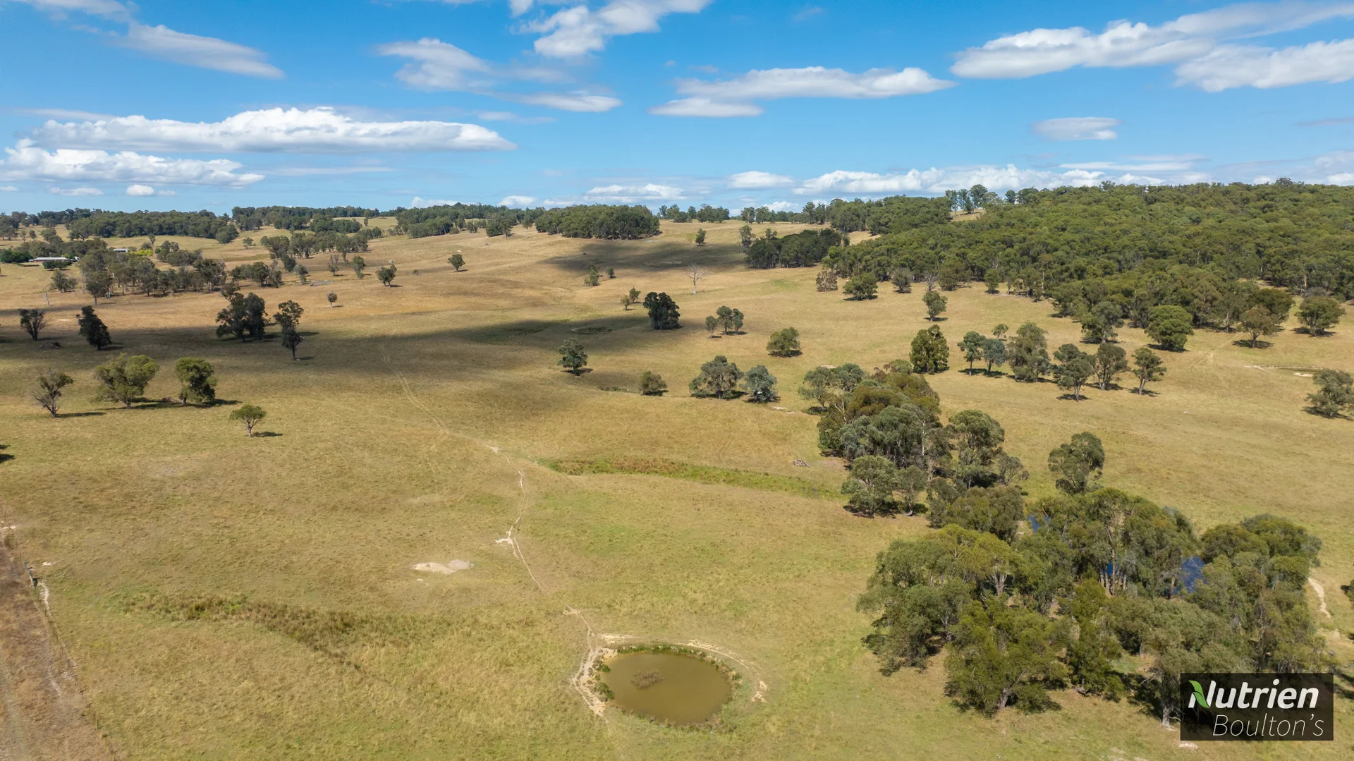 Additional image 37 of 224 Niangala-Walcha Road, Niangala NSW 2354