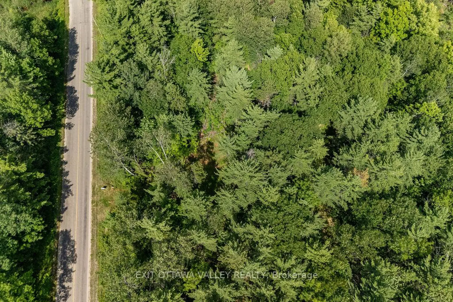 992 Mcgrath Road photo 4