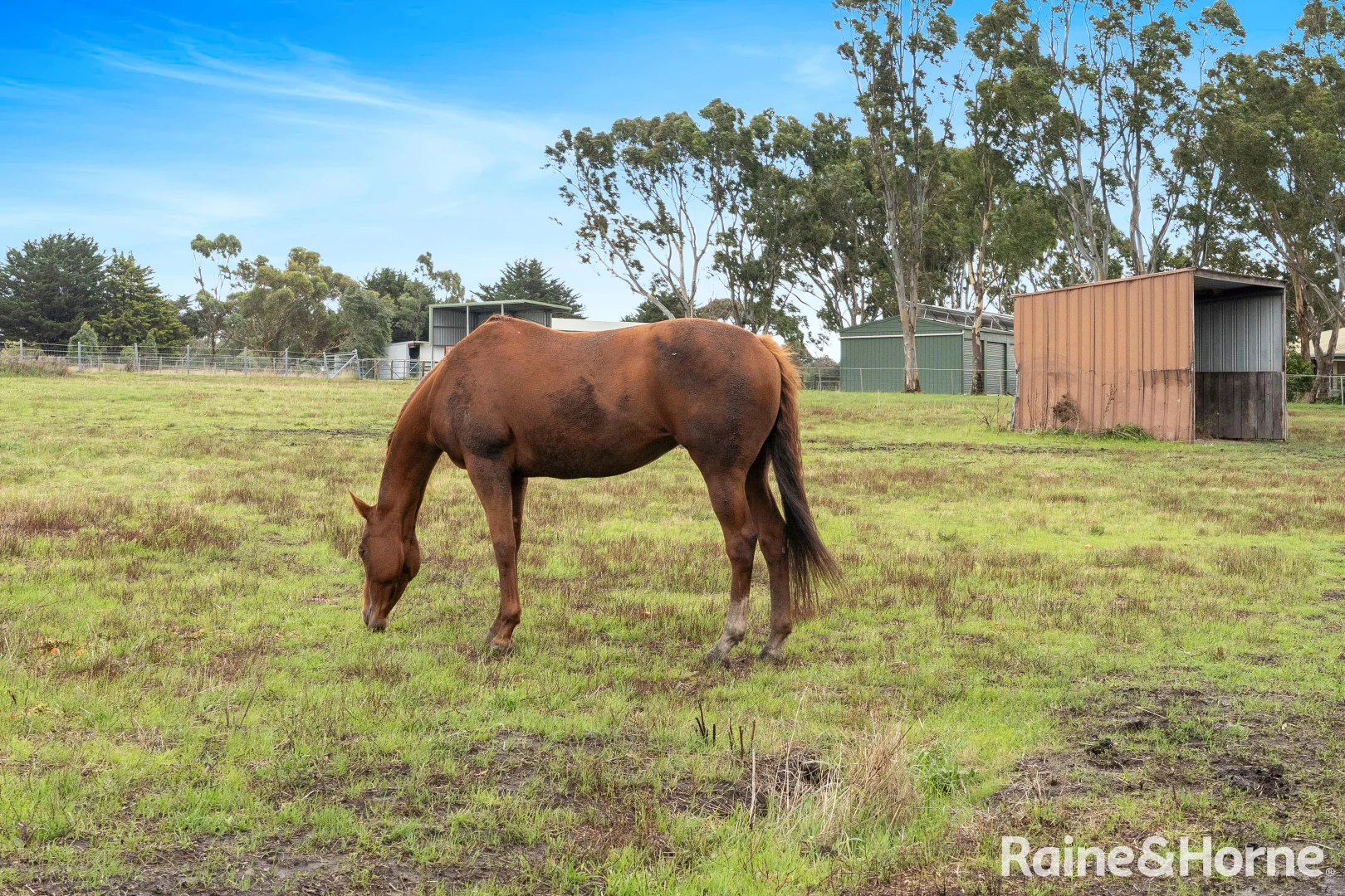 Additional image 28 of 28 View Bank Lane, Riddells Creek VIC 3431