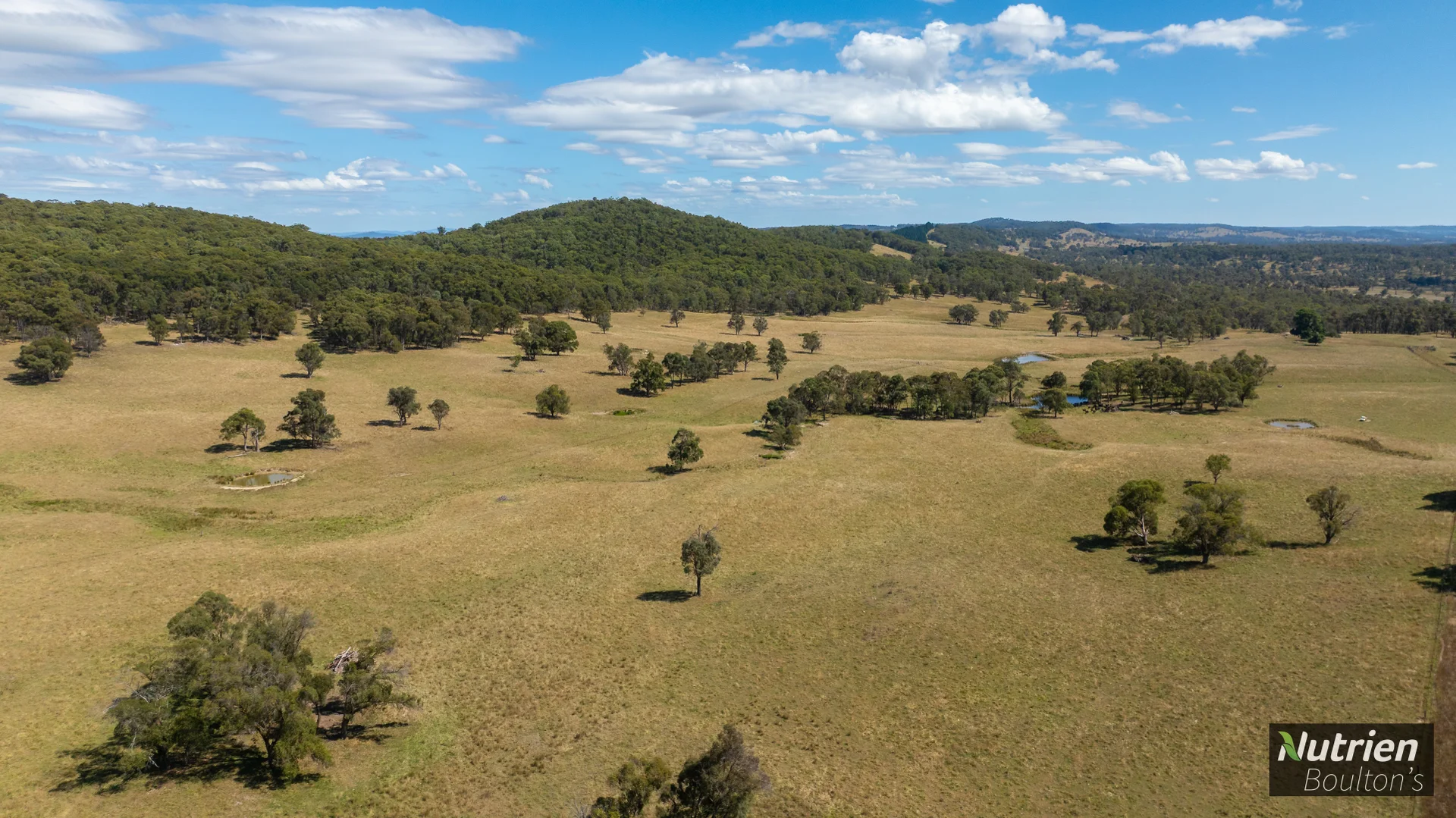 Additional image 39 of 224 Niangala-Walcha Road, Niangala NSW 2354