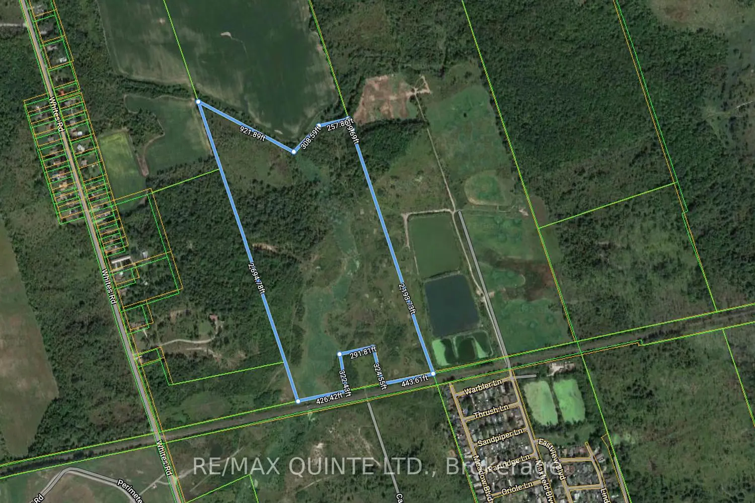 Additional image 2 of Lt115 Rcp 2129 Sidney