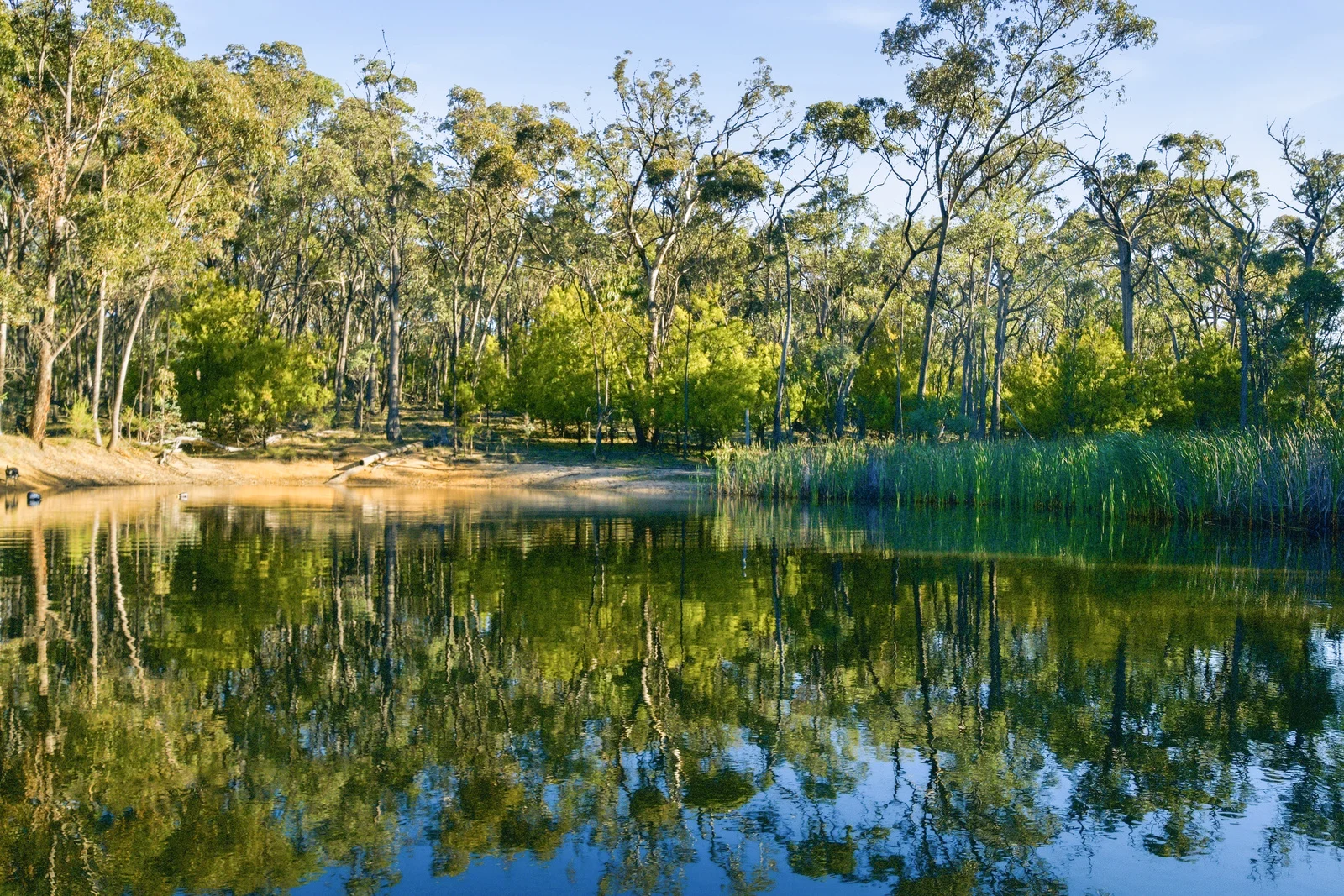 172 Johnstons Road, Barjarg VIC 3723 photo 2