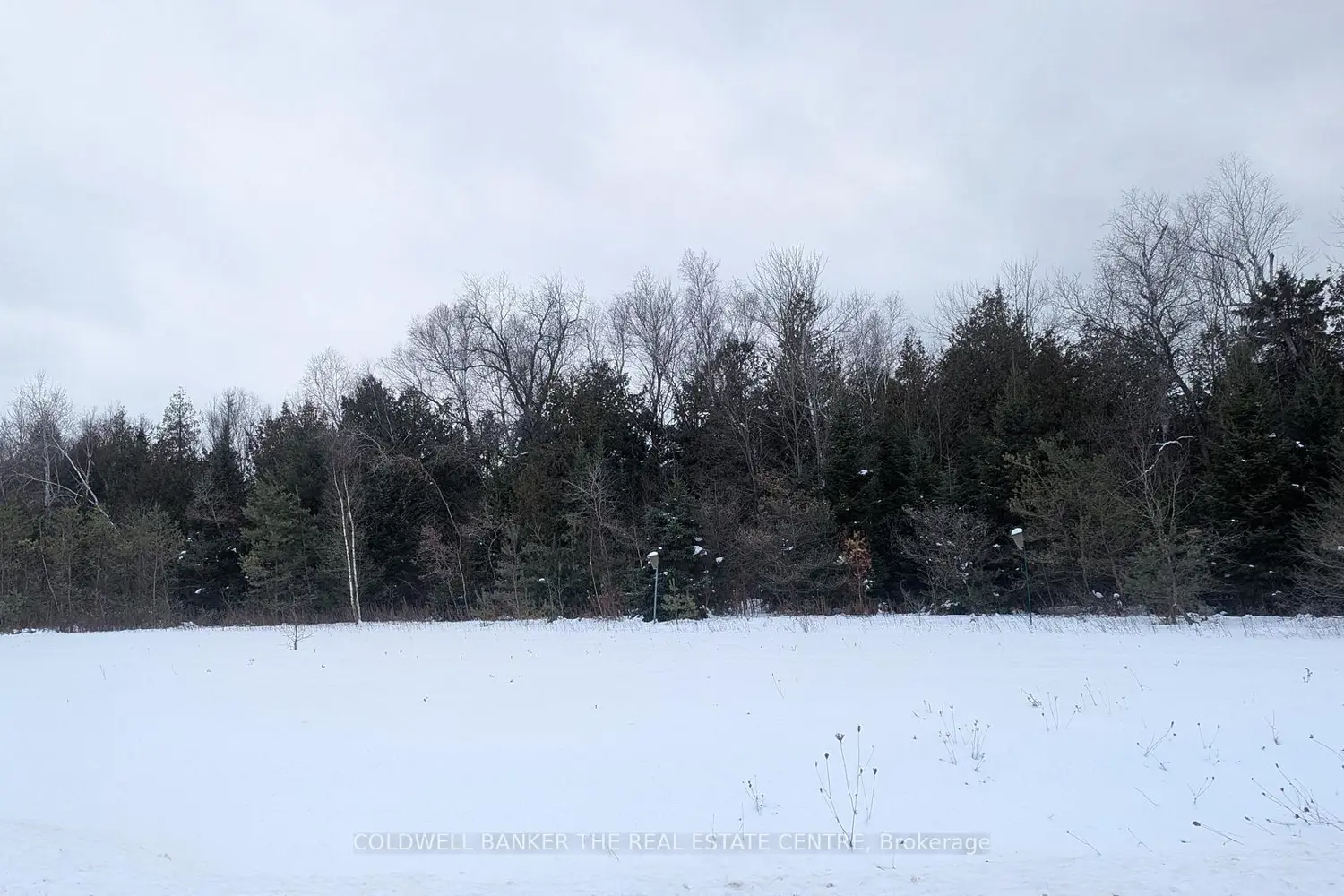 6 Tioga Boulevard photo 2