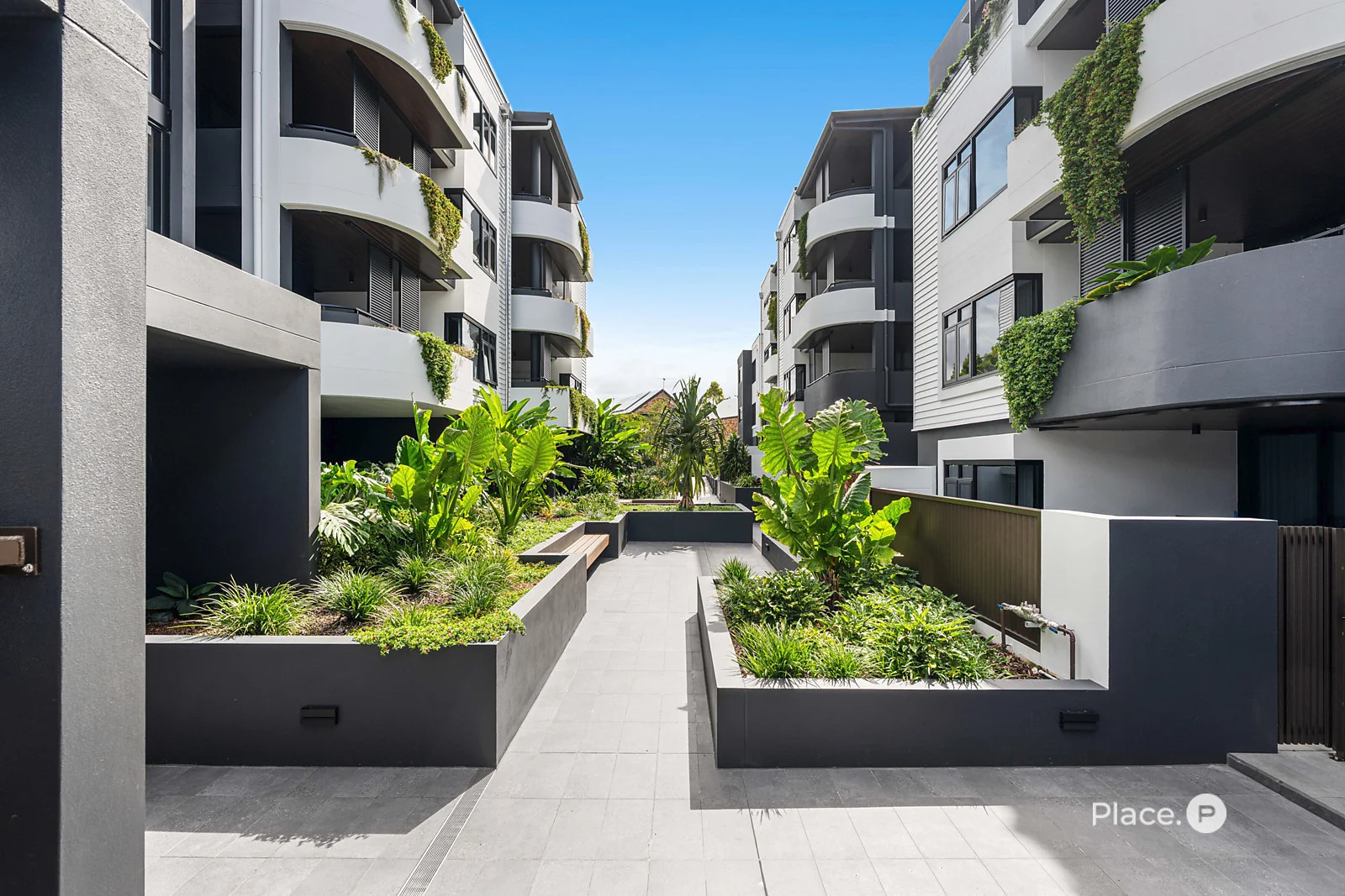 118/191 Stratton Terrace, Manly QLD 4179 photo 5