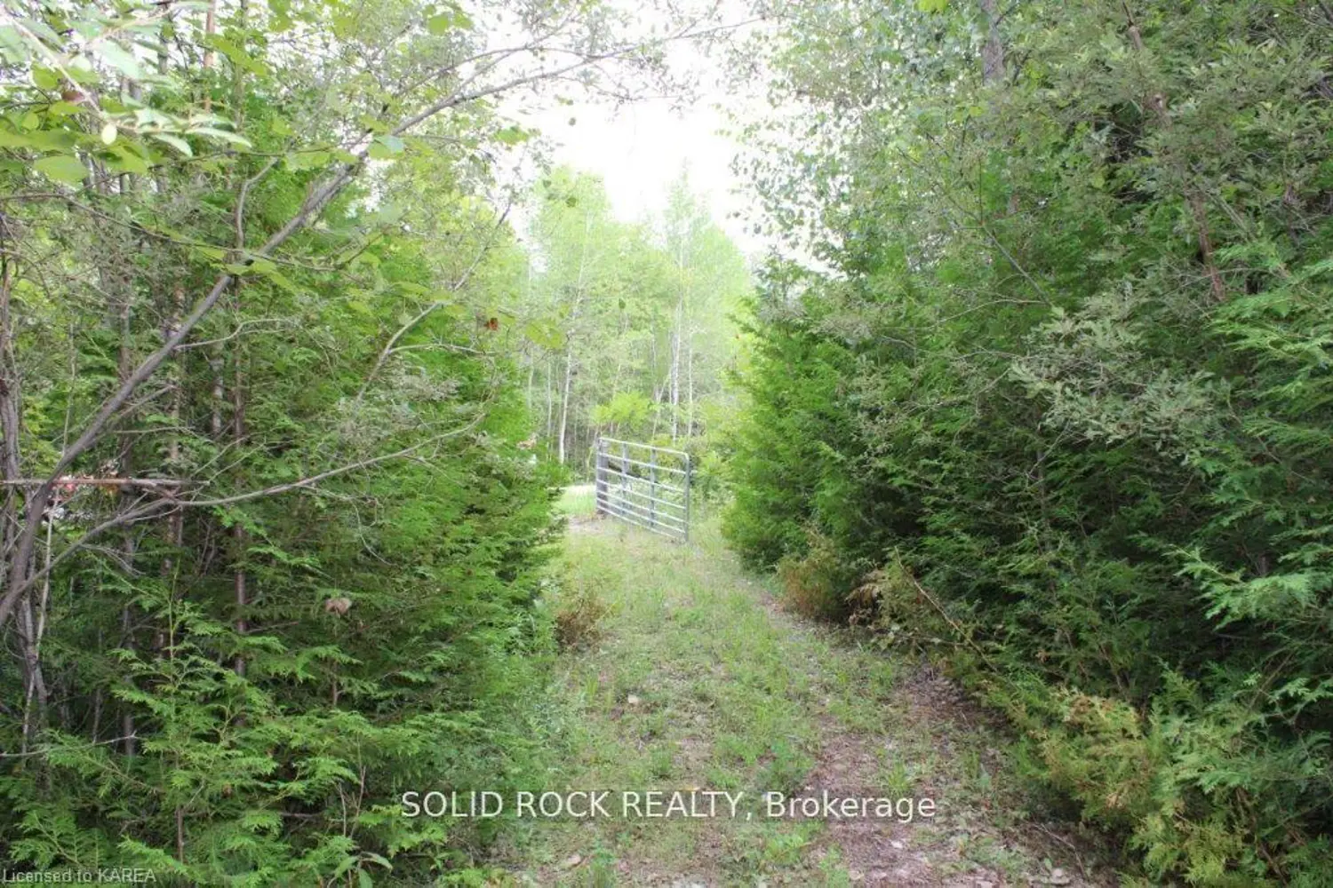 2209 Jochem Road photo 3