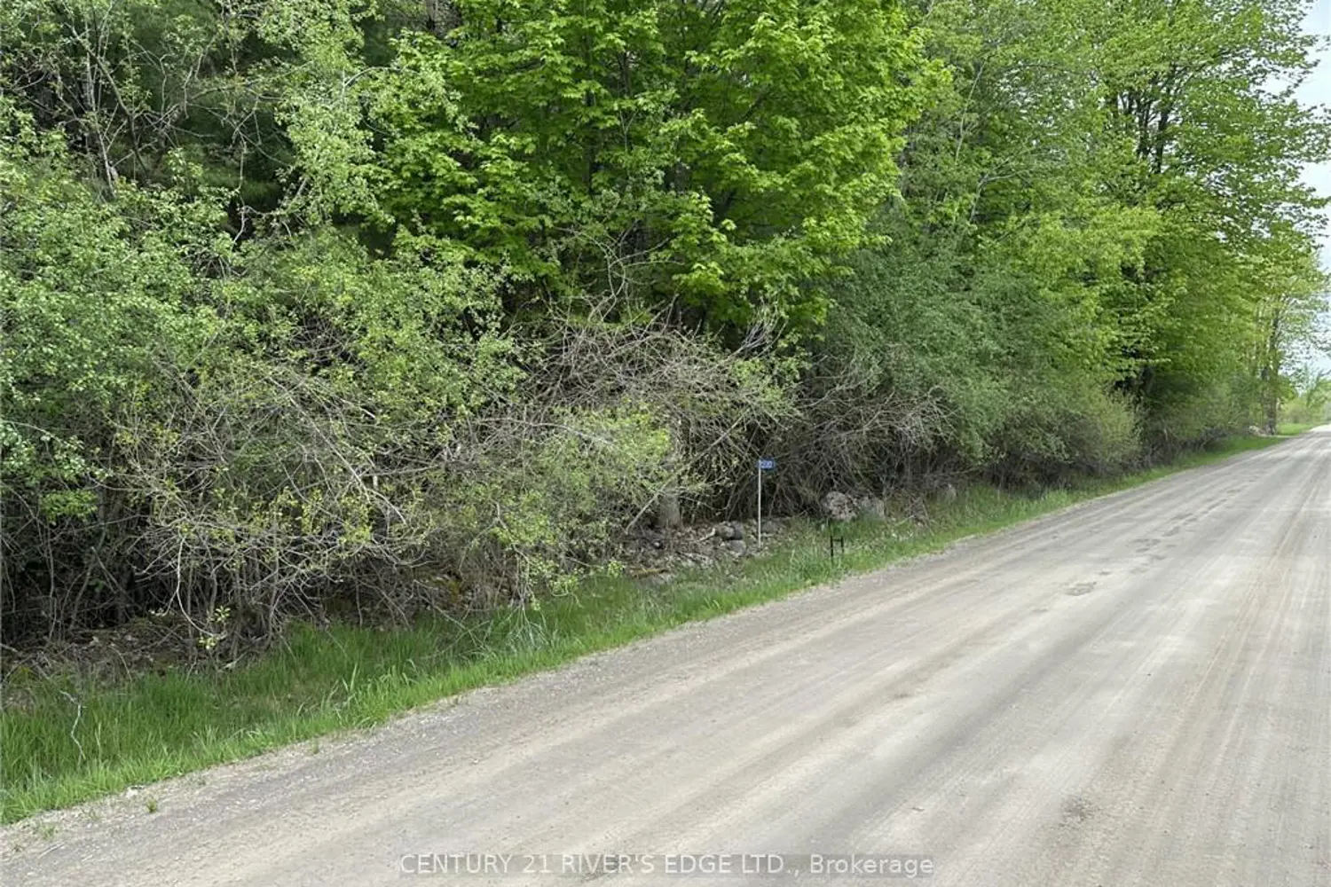 12082 Land O'nod Road photo 3