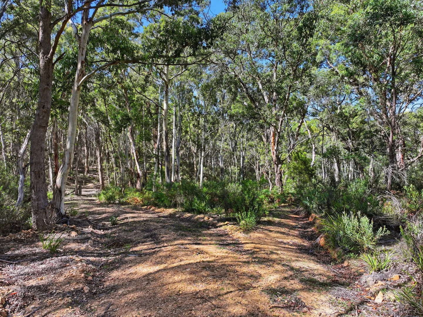 Additional image 12 of 329 Charleys Forest Road, Braidwood NSW 2622