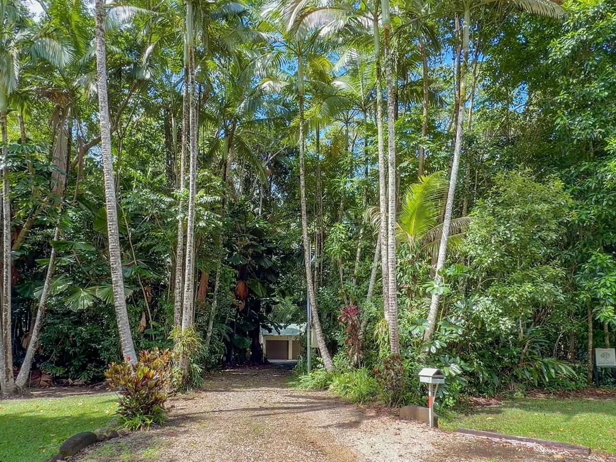 Additional image 6 of 3 Kurrajong Close, Wongaling Beach QLD 4852