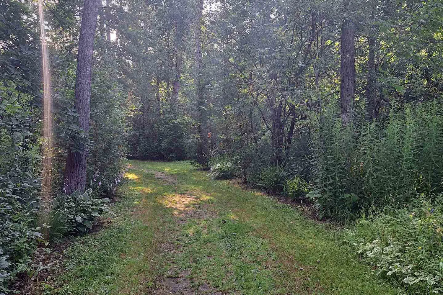 Additional image 18 of Pt Lt16 North Lunenburg Road