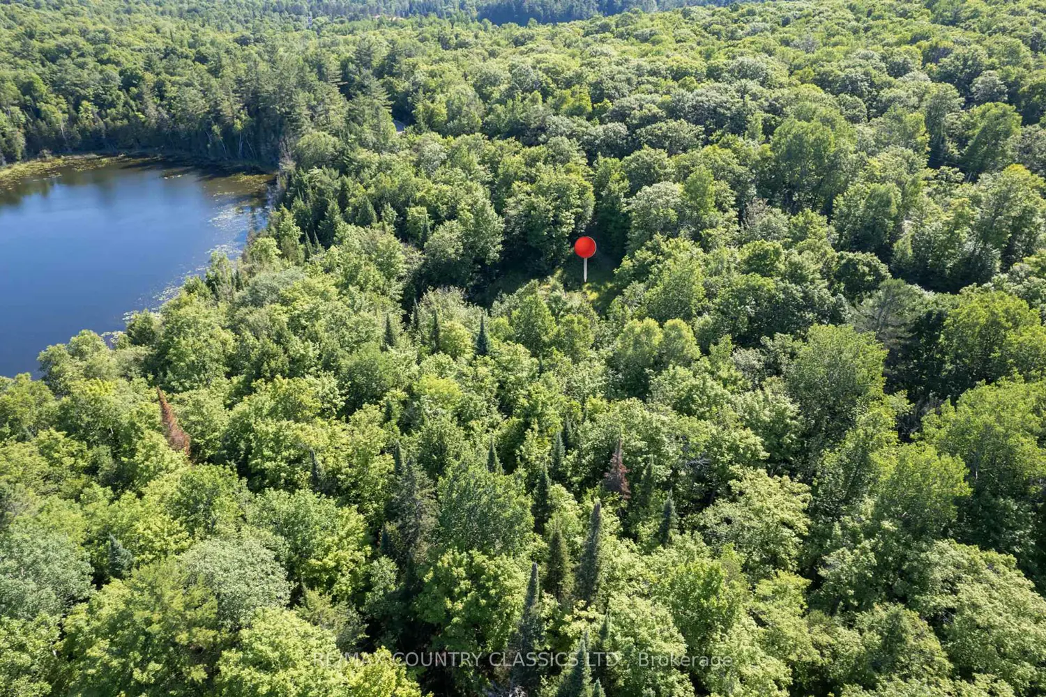 Additional image 11 of 1805 Bay Lake Road