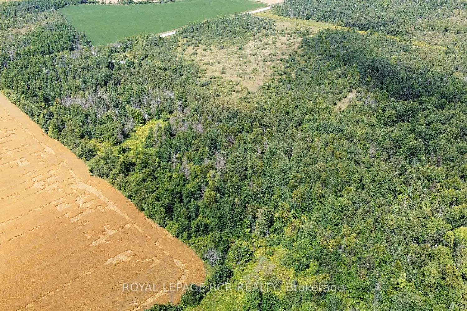 Lot 31 9 County Road photo 2