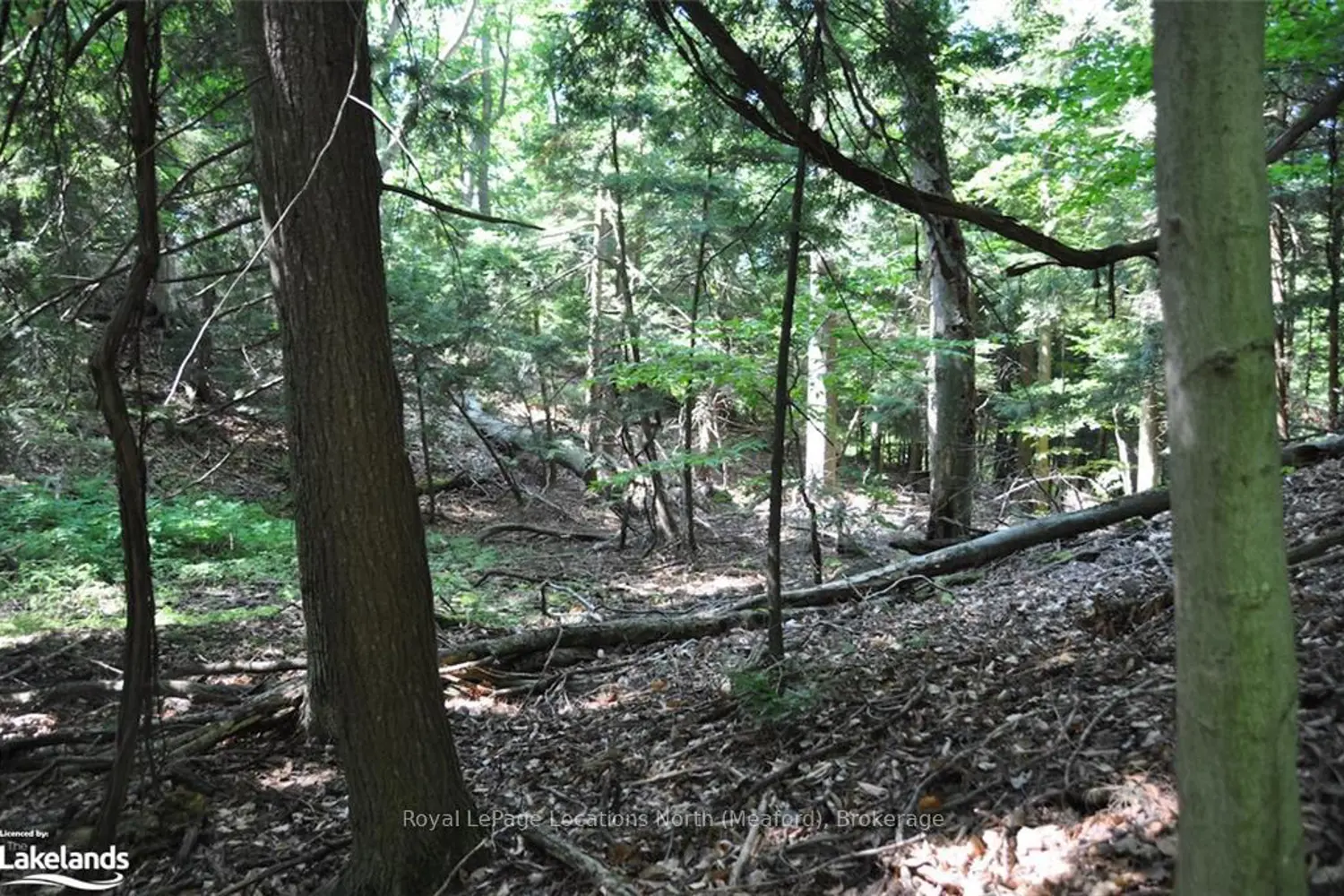 Additional image 12 of Lot 21 Bayshore Road