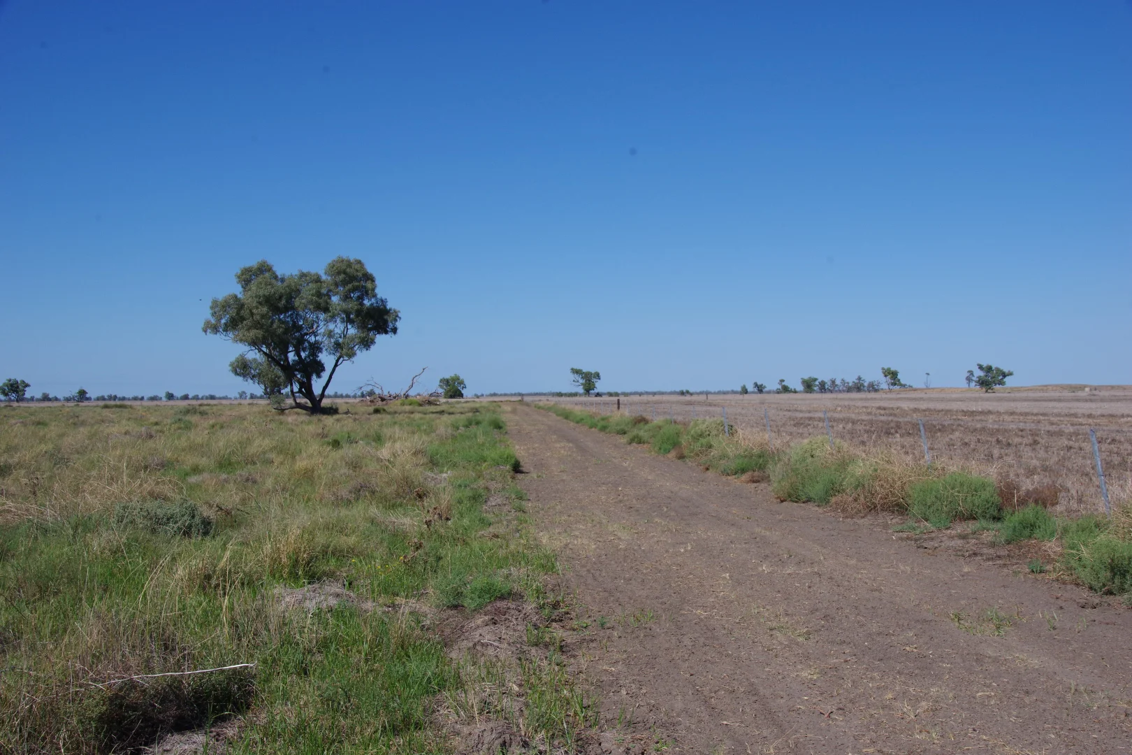 Additional image 9 of . Sunnyside Lane, Wee Waa NSW 2388