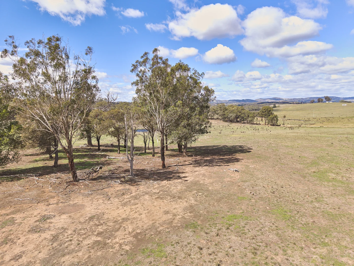 565 Dairy Flat Road, Heathcote VIC 3523 photo 4